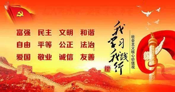 疯狂的小猫